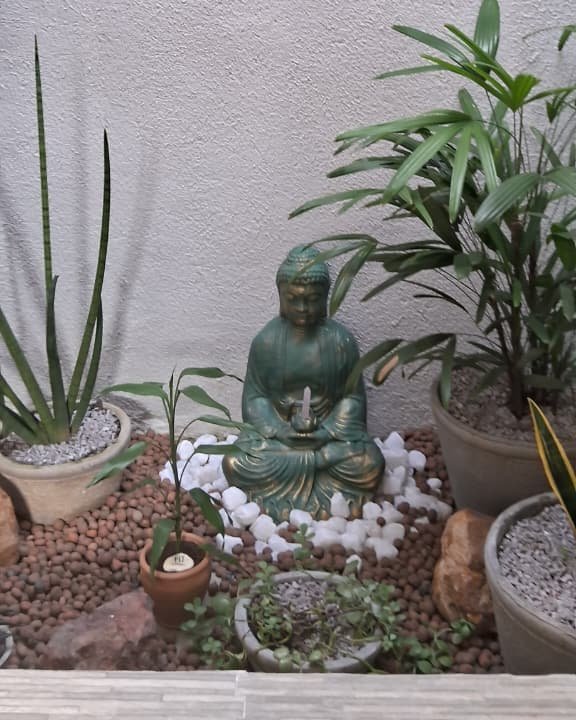 Jardim zen do Espaço Viver